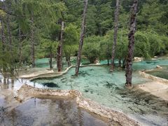 -黄龙山原始森林景区