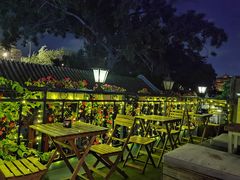 -Sirena海妖日咖夜酒