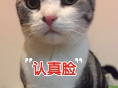 -海底捞火锅(名门店)