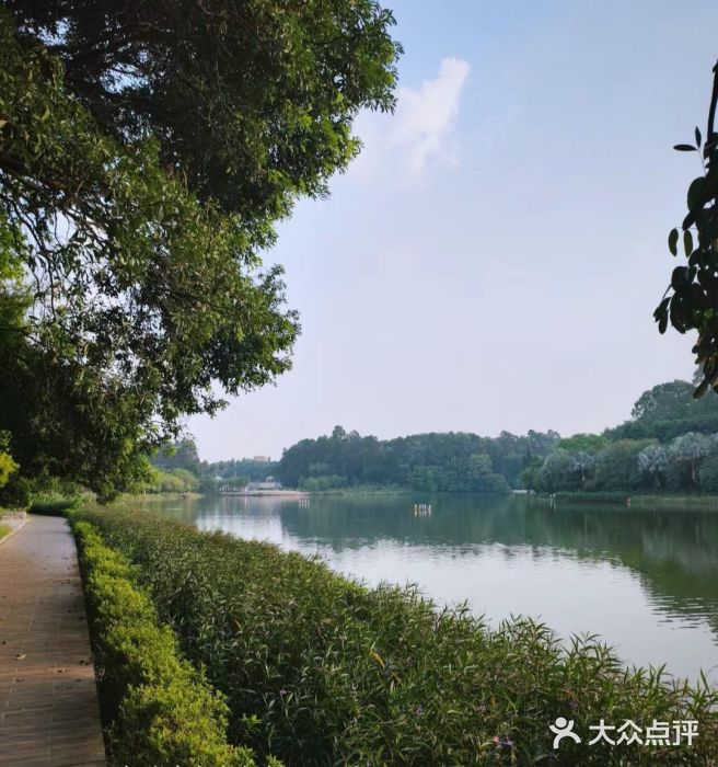 南国桃园旅游度假区图片