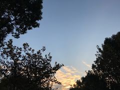 -碧云别墅南区