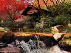 -康熙养生SPA·轻奢足道(江宁万达店)