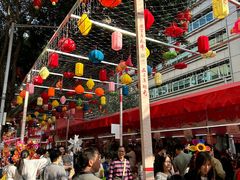 -越秀西湖花市(广州城市广场花卉店)