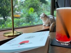 -咖法森林·咖啡  酒吧(天河店)