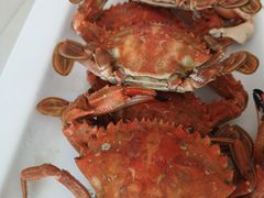 -宾朋海鲜特色美食餐厅·纯手工鲅鱼水饺(兴海路店)