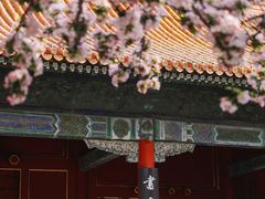 -故宫博物院(故宫)