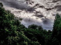 -白水寺森林公园