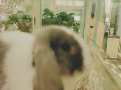 -龙猫仔乐园(惠福东路店)