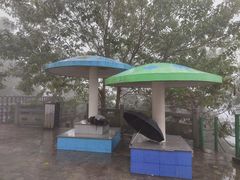 -敬亭山风景名胜区