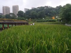 -龙头寺公园