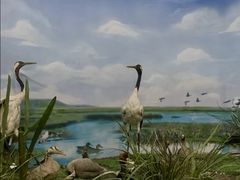 -国家自然博物馆