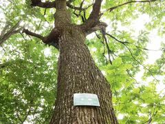 -终南山南五台景区