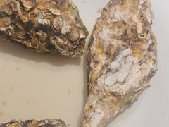 -杨氏青龙虾·羊蝎子(托乐嘉店)