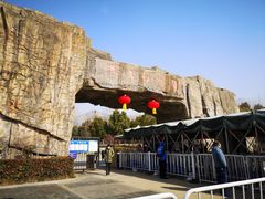 -合肥野生动物园