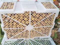 -东方鼎信农副产品交易中心