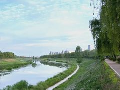 -洨河生态公园