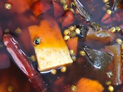 -菜香源·醉湖美宴(杨家坪店)