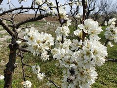 -广富林郊野公园