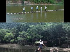 -龙湾潭国家森林公园