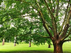 -北京动物园-畅观楼