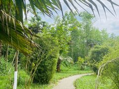 -桤木河湿地公园