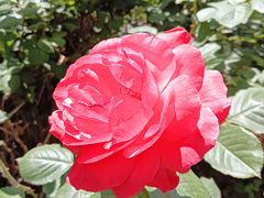 -首都医科大学附属北京友谊医院(西城院区)