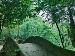 -凤栖山