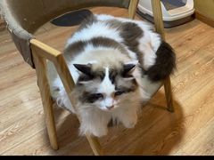 -白兔子密室(长寿路店)