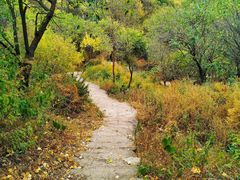 -蟠龙山长城景区