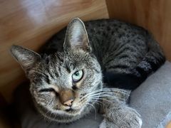 -富城特色菜馆(华南小区店)