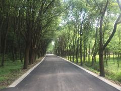 -同里国家湿地公园
