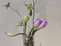 -花锦堂·隐庐