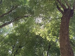 -东湖落雁景区