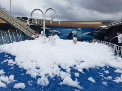 -小蜜蜂农场(凯德七宝购物广场店)