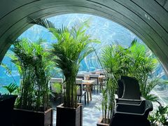 -海棠湾洲际-涛·海底餐厅·美人鱼·自助餐·海底隧道
