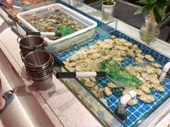 -北京海德酒店温泉