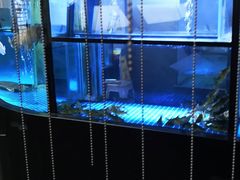 -王家渡火锅店(棕榈泉店)