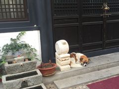 -悦真雅院·四合院·清真私房菜(雍和宫店)
