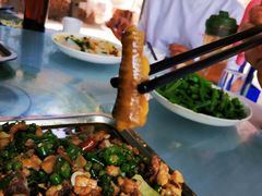 -铁山坪森林公园