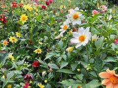 -沕沕水生态风景区