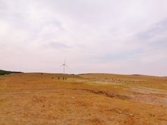 -御道口草原森林风景区