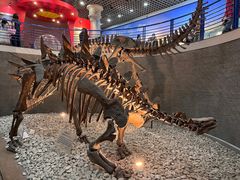 -国家自然博物馆