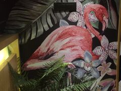 -波比Pizza(新城店)