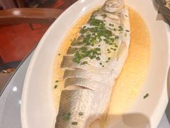 -宋园·金宴浙鲜馆(静安店)