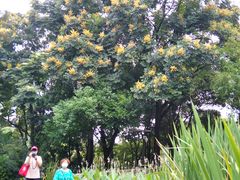 -成都市活水公园