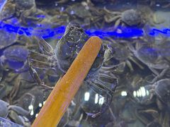 -澜悦港海鲜体验主题餐厅