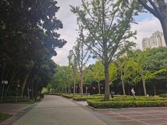 -苏州河梦清园环保主题公园