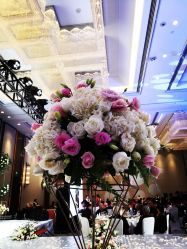 -苏州希尔顿酒店-宴会厅