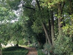 IMG_0200-上海虹桥迎宾馆