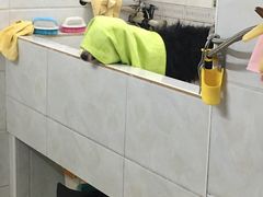 -宠屋宠物美容店